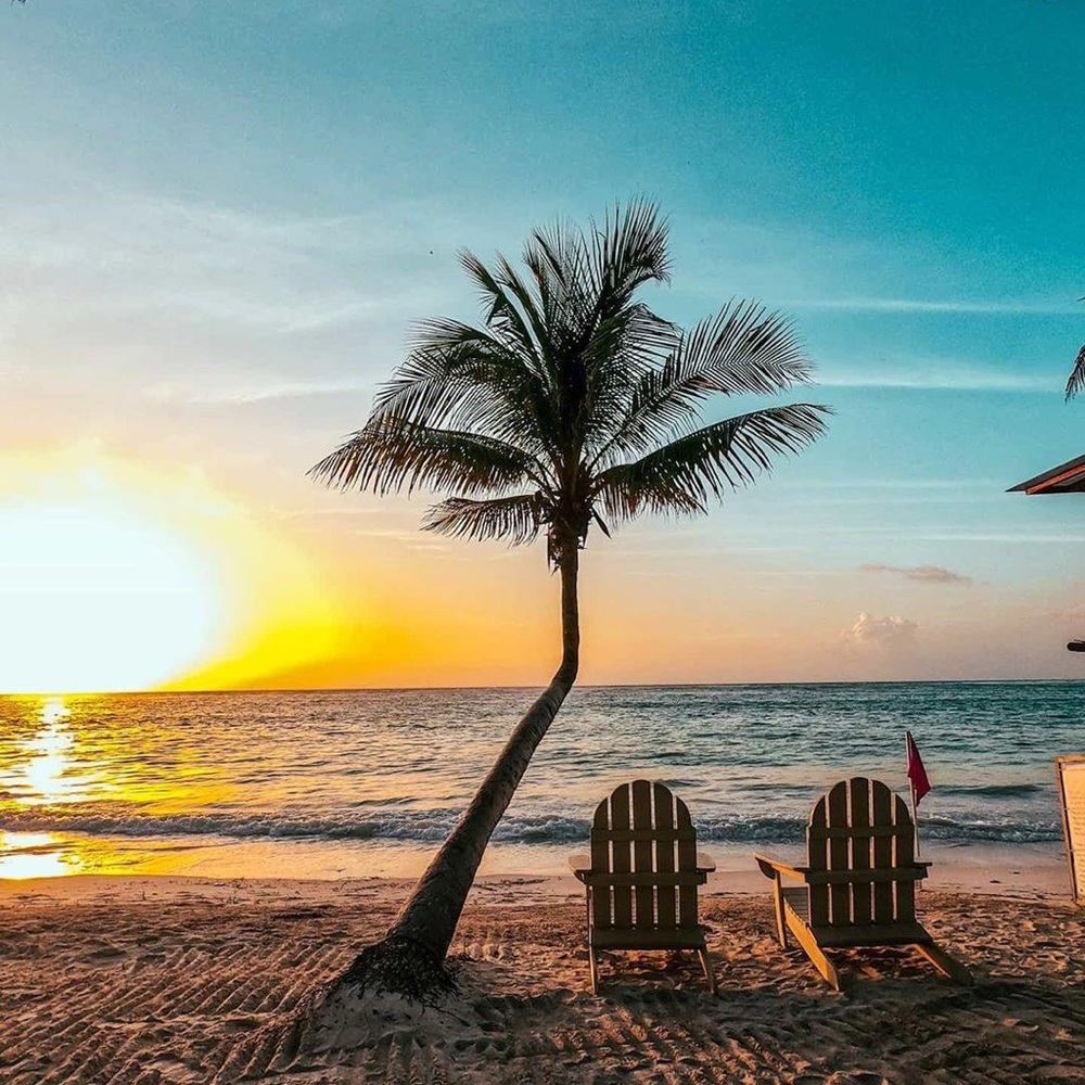 Meet your Posher, Yvette